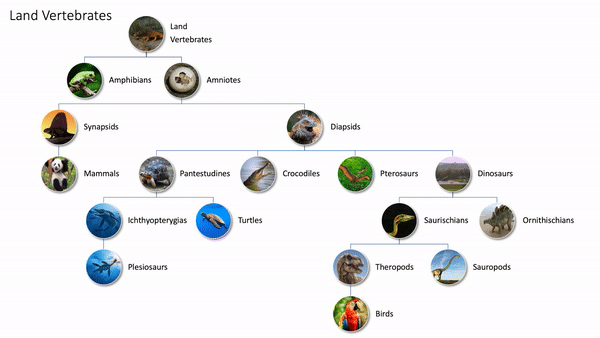 Improvements in SmartArt morphing