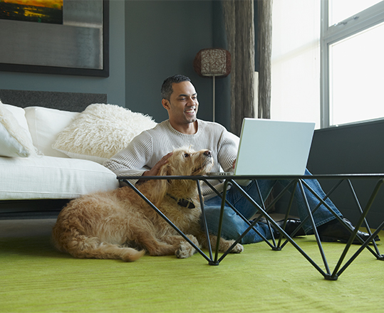 man and dog looking at laptop