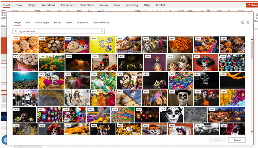 Screenshot showing a collection of premium Day of the Dead images in PowerPoint.