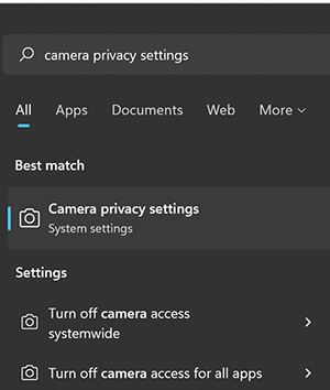 Windows コンピューターのカメラ プライバシー設定オプションのスクリーンショット。