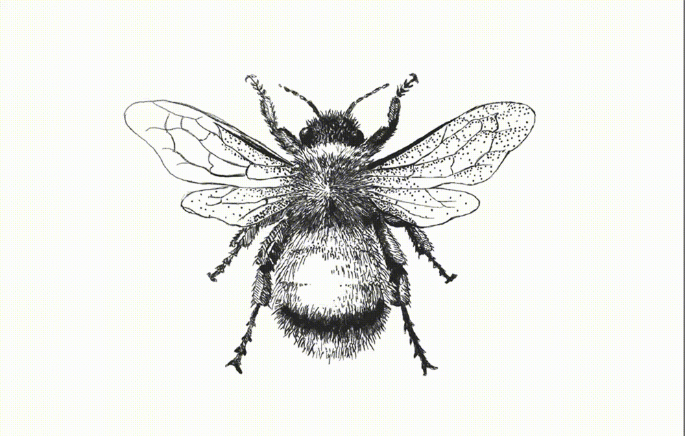 PowerPoint-designed bee graphic created by Sandra Johnson.