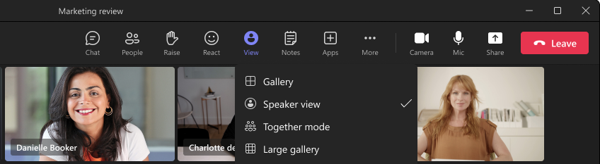 Speaker view command on the Views menu