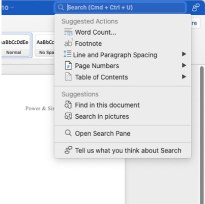 Search box in a Word document