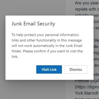 Junk Email Security alert