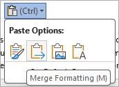 Paste Options on the ribbon